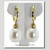 Dangle & Leverback Pearl Earrings